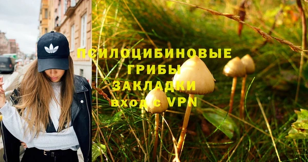 гидра Алексеевка