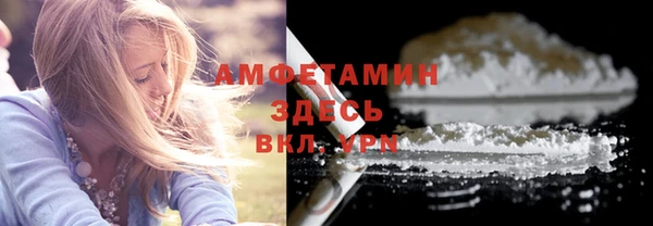 гидра Алексеевка