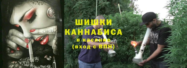 гидра Алексеевка
