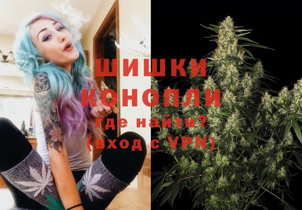 гидра Алексеевка